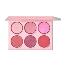 شجلام باليت احمر خدود فلورال فلوش 6 الوان