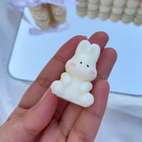 شمعة الأرنب - صغير -