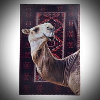 لوحة 6