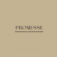 Promesse.line