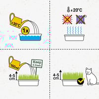 جيم كات عشب طبيعي للقطط كاتزين جراس g150