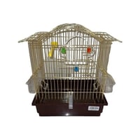 قفص طيور ذهبي صغير