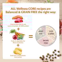 ويلنس كور طعام جاف للقطط المعقمة بالسالمون بـ أحجا...