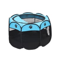 خيمة قطط وسط باللون مختلفة