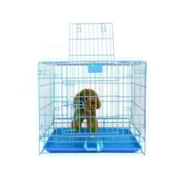 قفص قطط وكلاب حديد قابل للطي - كبير لون أسود