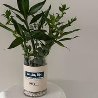 فازة البامبو مع اضافة آي شعار على الجلد