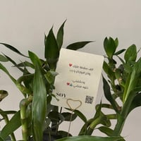 فازة البامبو مع الاسم على الجلد