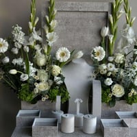 عربية ملكة | عقد قران