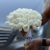 مسكة التوليب