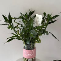 فازة البامبو مع الاسم على الجلد