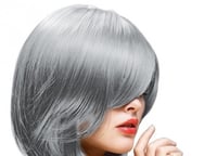 صبغة شعر مؤقتة لون فضي Colour sliver ماركة لا ريتش...