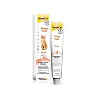 عصار الطاقة من شركة GimCat