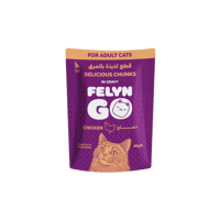 اظرف الدجاج بالمرق من شركة Felyn Go