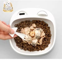 صحن طعام للقطط مع ملعقة وشوكة