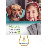 منقي جو ومزيل الروائح السيارة بفحم الخيزران النشط