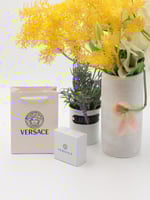 ملحقات فيرزاتشي