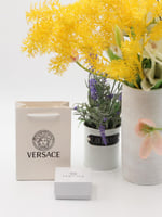 ملحقات فيرزاتشي