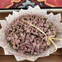 Super Purple Baby Rose