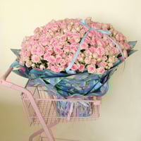 Super Pinky Baby Rose