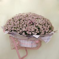 Super Purple Baby Rose