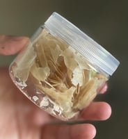 خميره طبيعيه مجففة عمرها فوق ١٠٠ سنه dry sourdough...