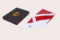 شماغ ريكاردانو انجليزي