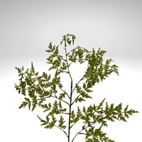 لوحة سحر القمر