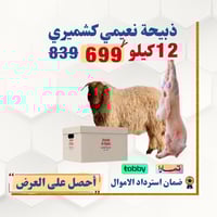 خروف نعيمي كشميرى جذع وزنه من 12 كيلو
