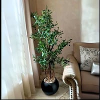 شجرة زيتون زينة بمركن كبير طول160 سم