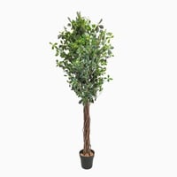 شجرة فايكوس صناعية 180 سم انيقة بمركن