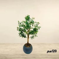 شجرة زيتون صناعية كبيرة 120 سم اسود بمركن