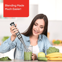 هاند بليندر سانفورد 800واط