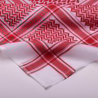 شماغين ‏( DX-B1+DX-B2)