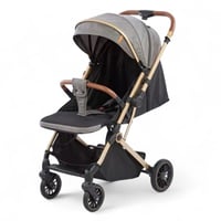 عربية الطيارة ذات الاتجاهين بتصميم حصري