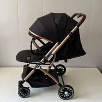 عربية الطيارة ذات الاتجاهين - اسود باطراف ذهبية