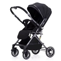 اسود اطراف فضي