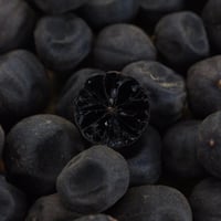 ليمون أسود عُماني