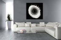 لوحة رقم B198.