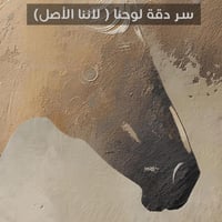 لوحة سراب-لوحات خيول عربية.
