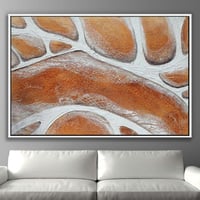 لوحة جلد ثعبات