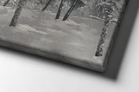 لوحة ظلال بيضاء-لوحات طبيعة.