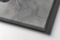 لوحات جدارية خيل أبيض.