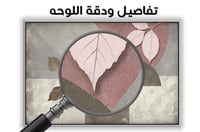 لوحة رقم B313.