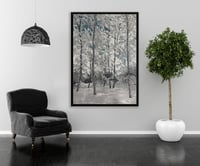 لوحة ظلال بيضاء-لوحات طبيعة.