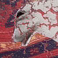 لوحة شيخة الزين-لوحة تراثية للإبل.