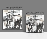 لوحات جدارية خيل ابيض .