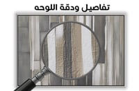 لوحة رقم B55.