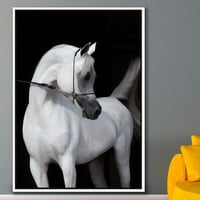 لوحة عاشق خيل-لوحات جدارية خيل.