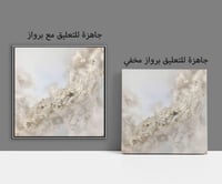 لوحة رقم B195.