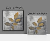 لوحة رقم B57.